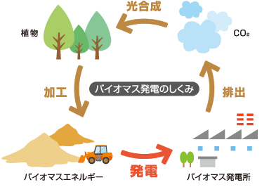 バイオマス発電チップ生産業務